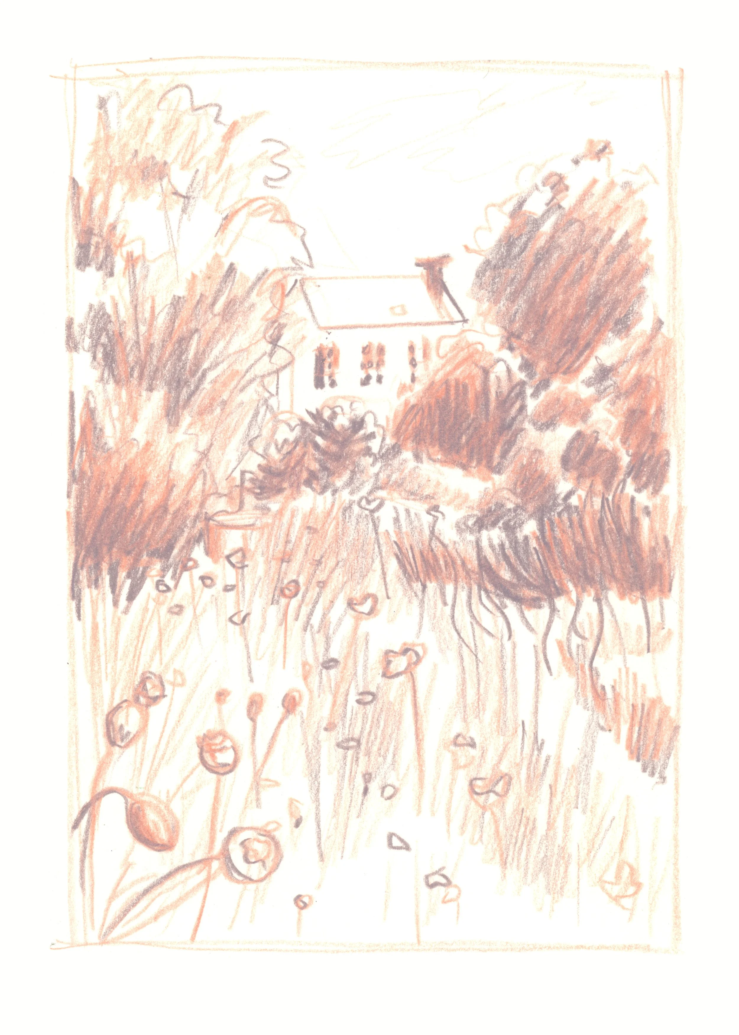 Herbe au Vent.jpg