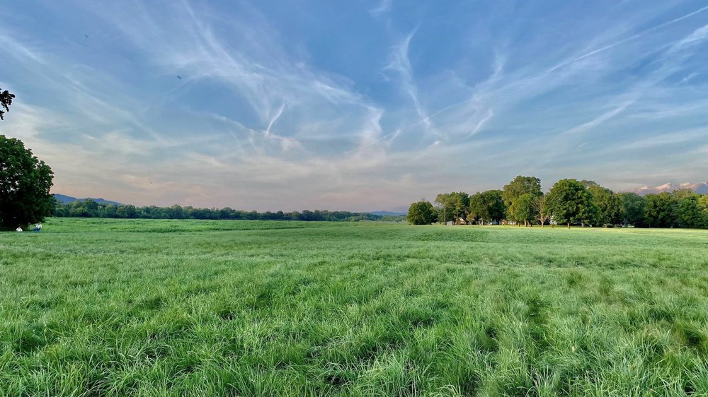 Port Republic Battlefield landscape