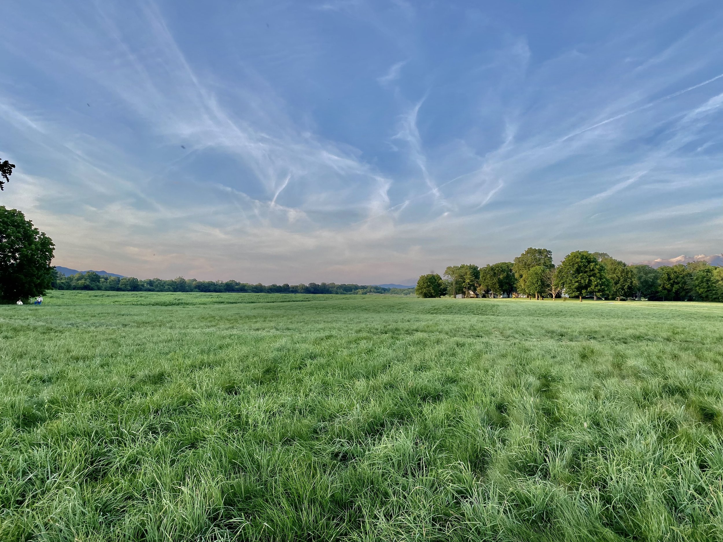 The preserved landscape of Port Republic Battlefield in the Shenandoah Valley