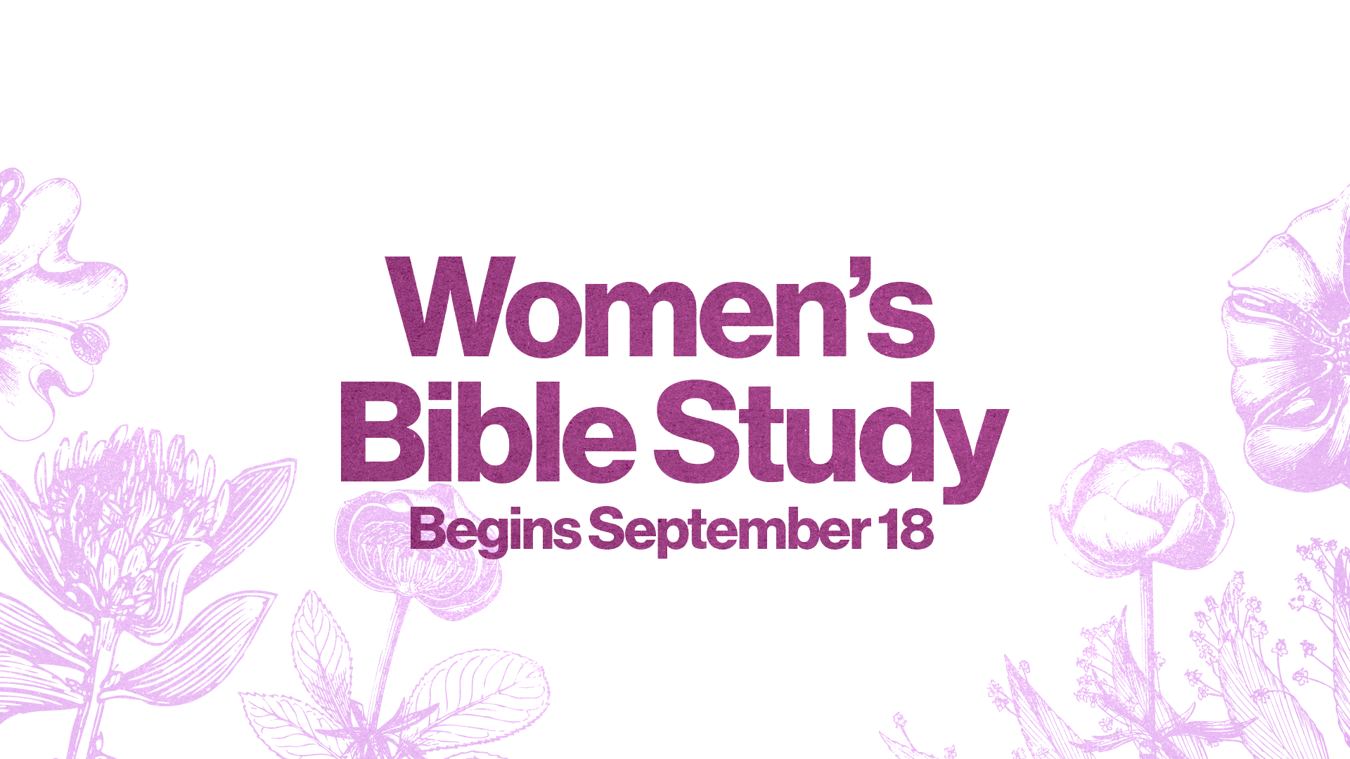 Women’s Bible Study