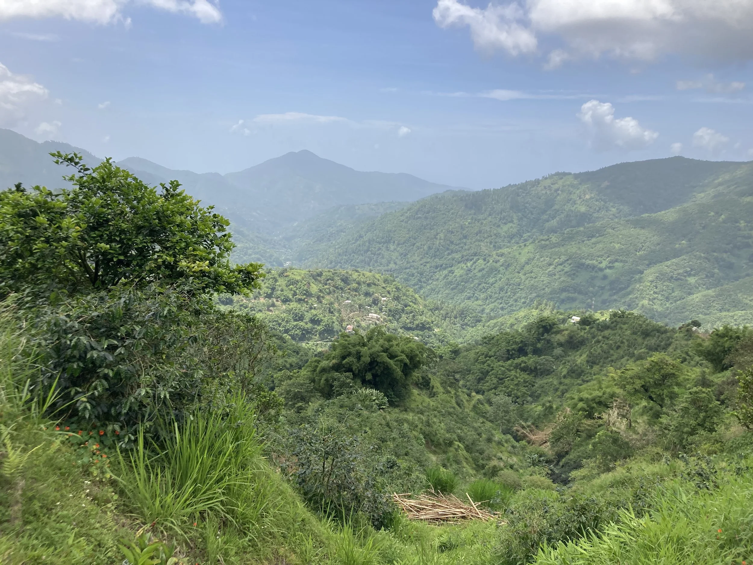 Another Morning of Sounds