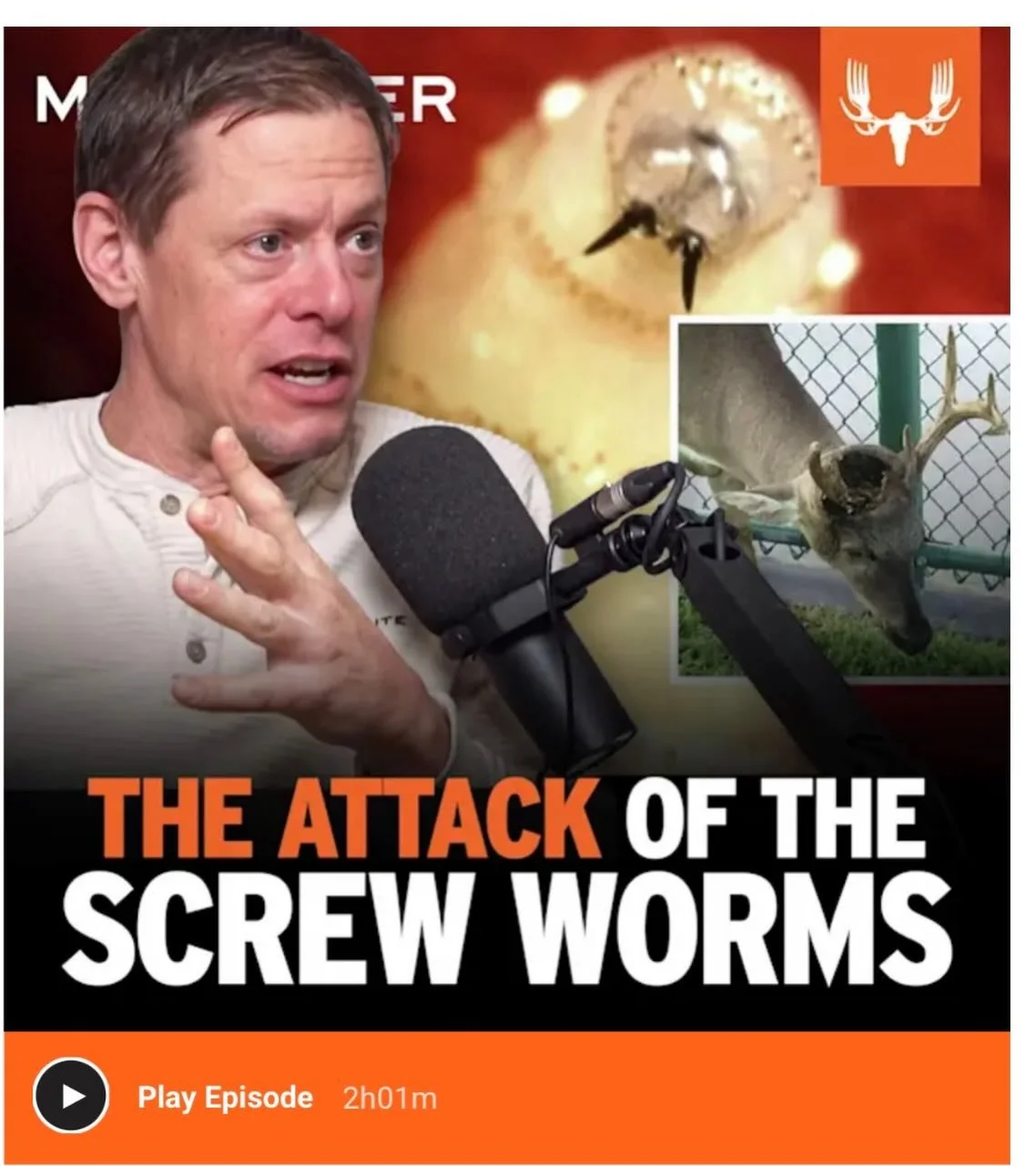 Attack of the Screw worm now live on the MeatEater Podcast.

I joined Steven Rinella and Doug Duren to talk about the New World Screwworm: what it is, why it matters, what to look for.

Have 10-15 minutes to help New Mexico stay proactive and not rea