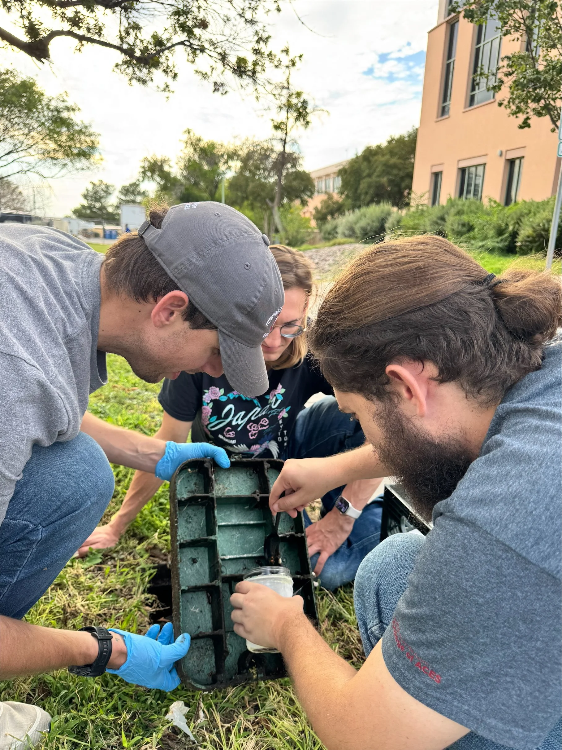 Hubbard Lab students and faculty collecting insects during fieldwork.