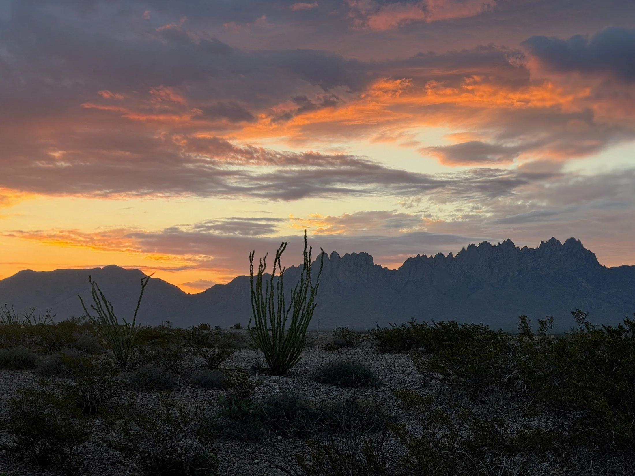 The Organ Mountains near Las Cruces, New Mexico.