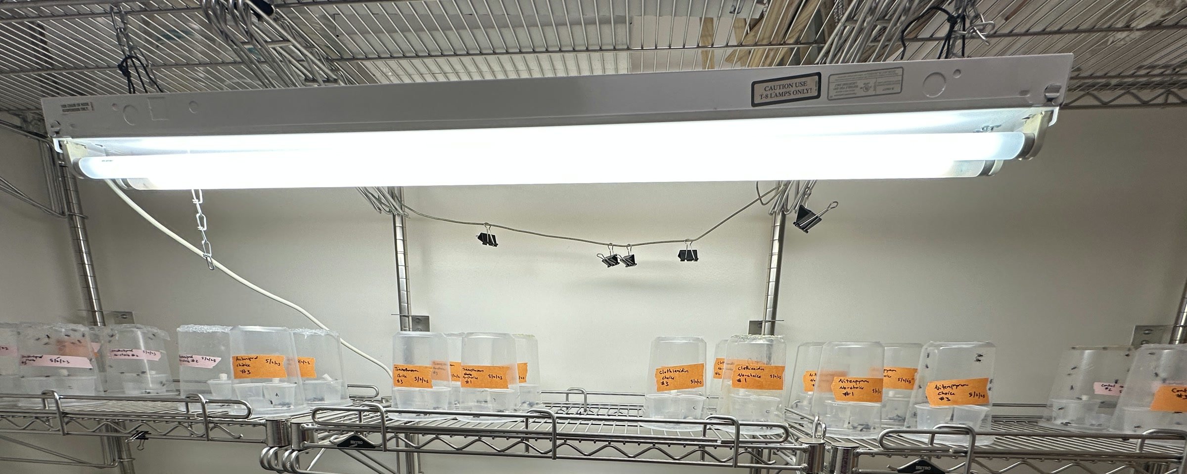 Rows of labeled house fly bioassay chambers beneath laboratory lighting.