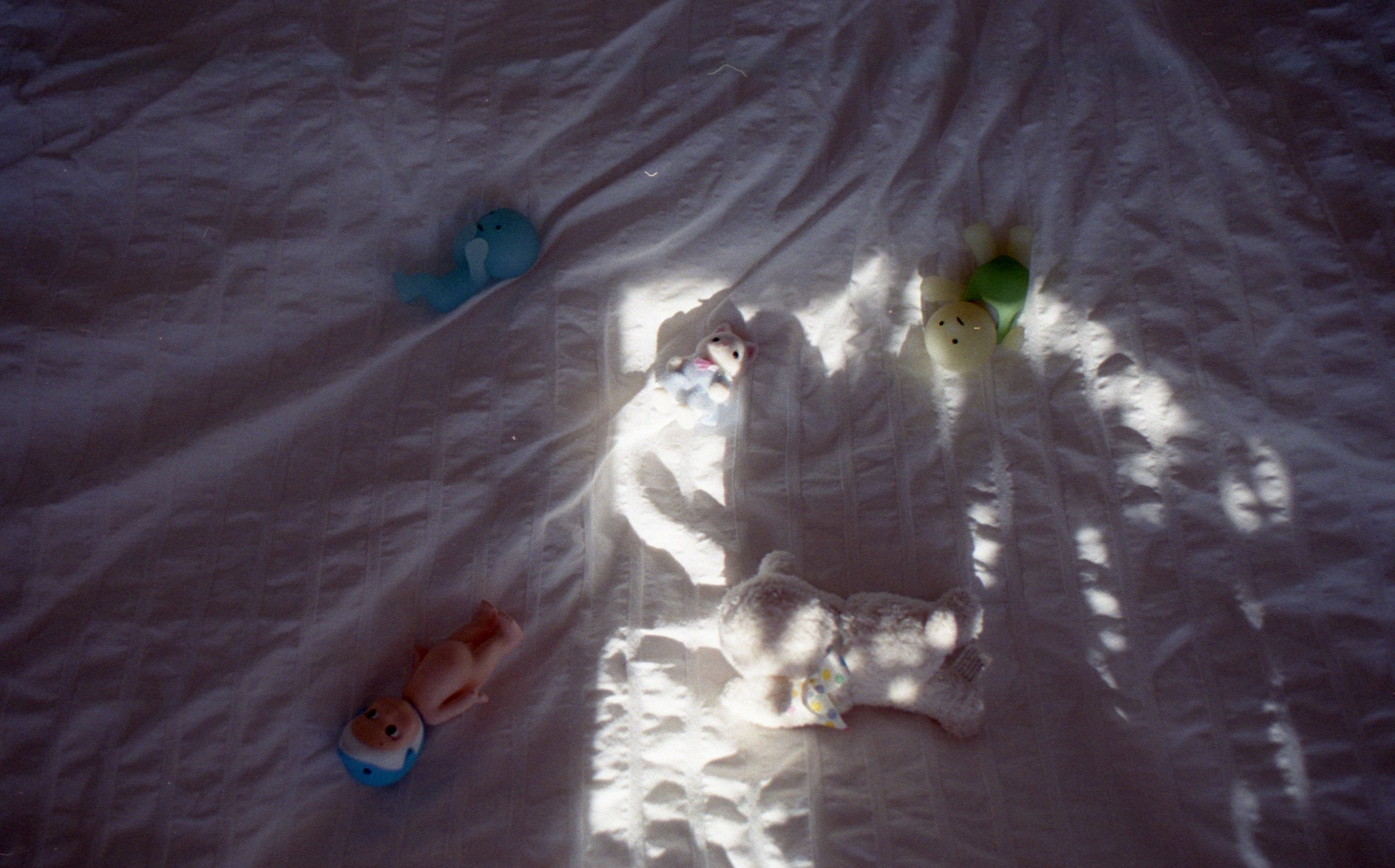 img20240526_20220002.jpeg