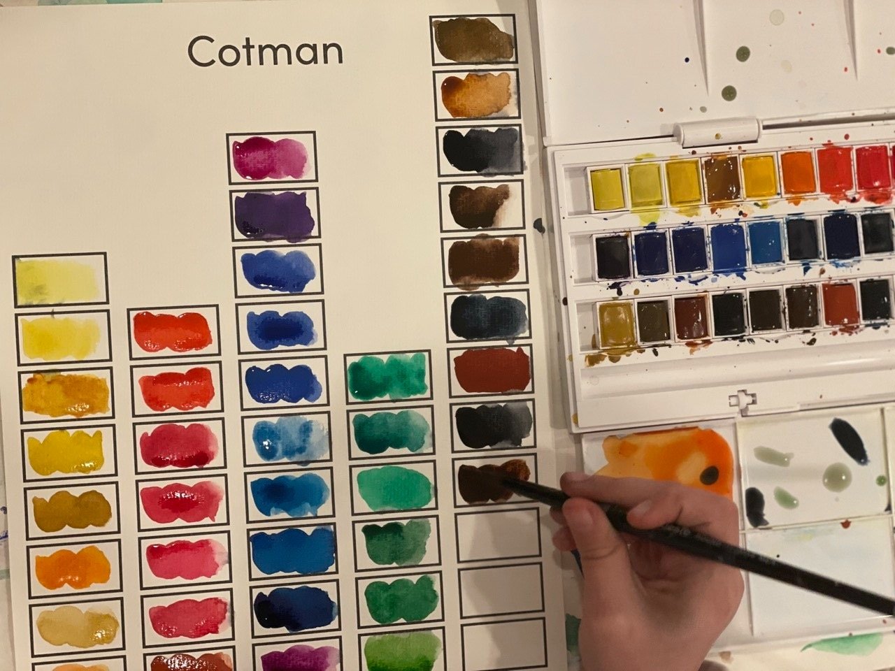 Swatch Card: Showcasing the full range of Winsor & Newton Cotman watercolors