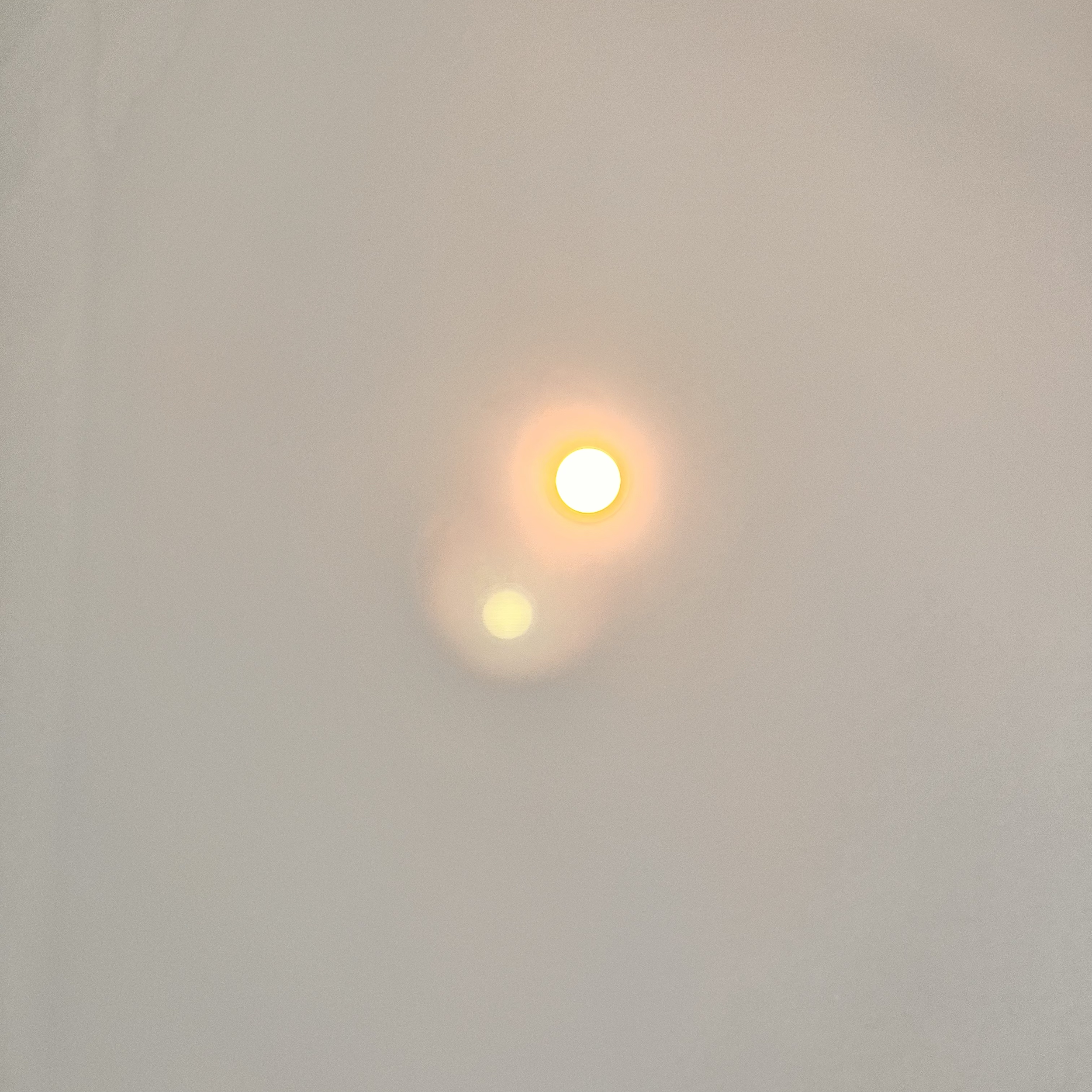 The Light