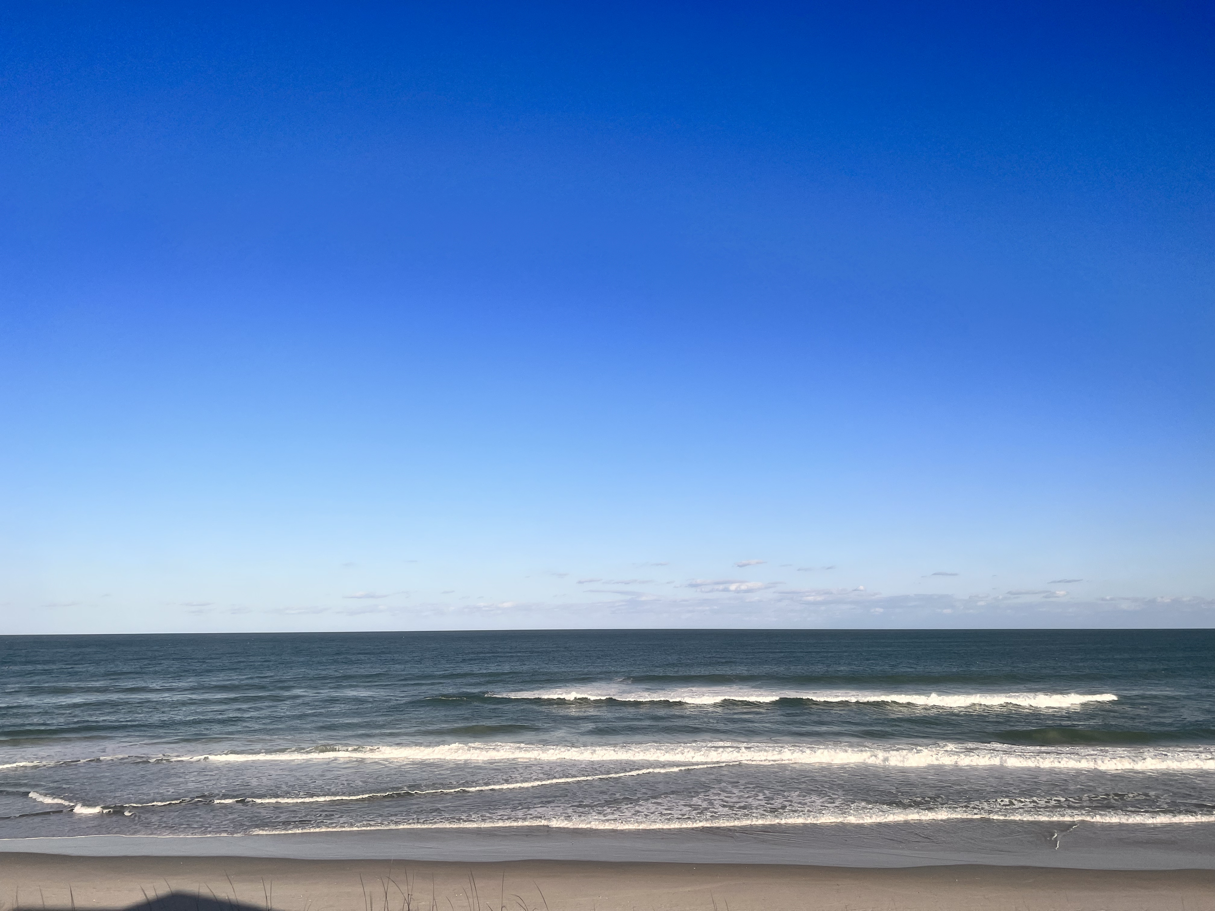 Oceanic View