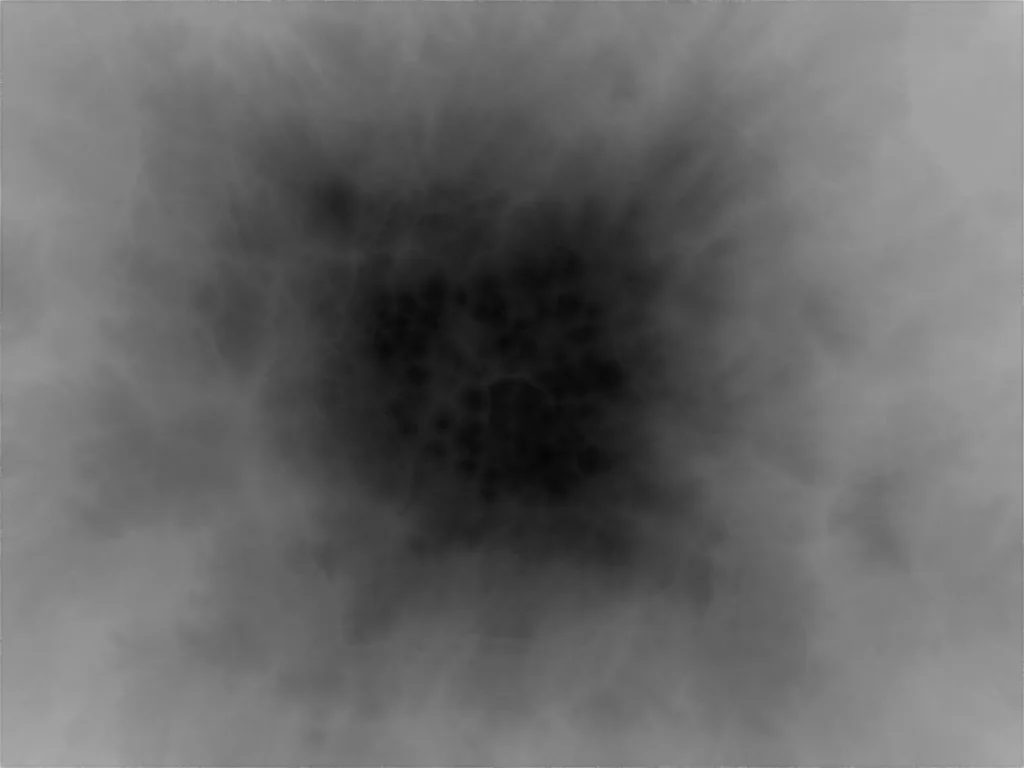 Black Hole