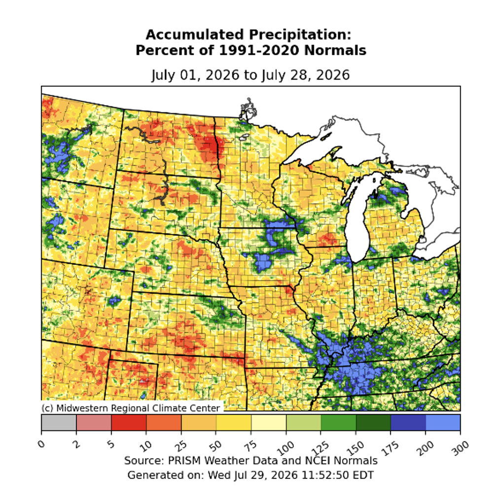 Early August Observations