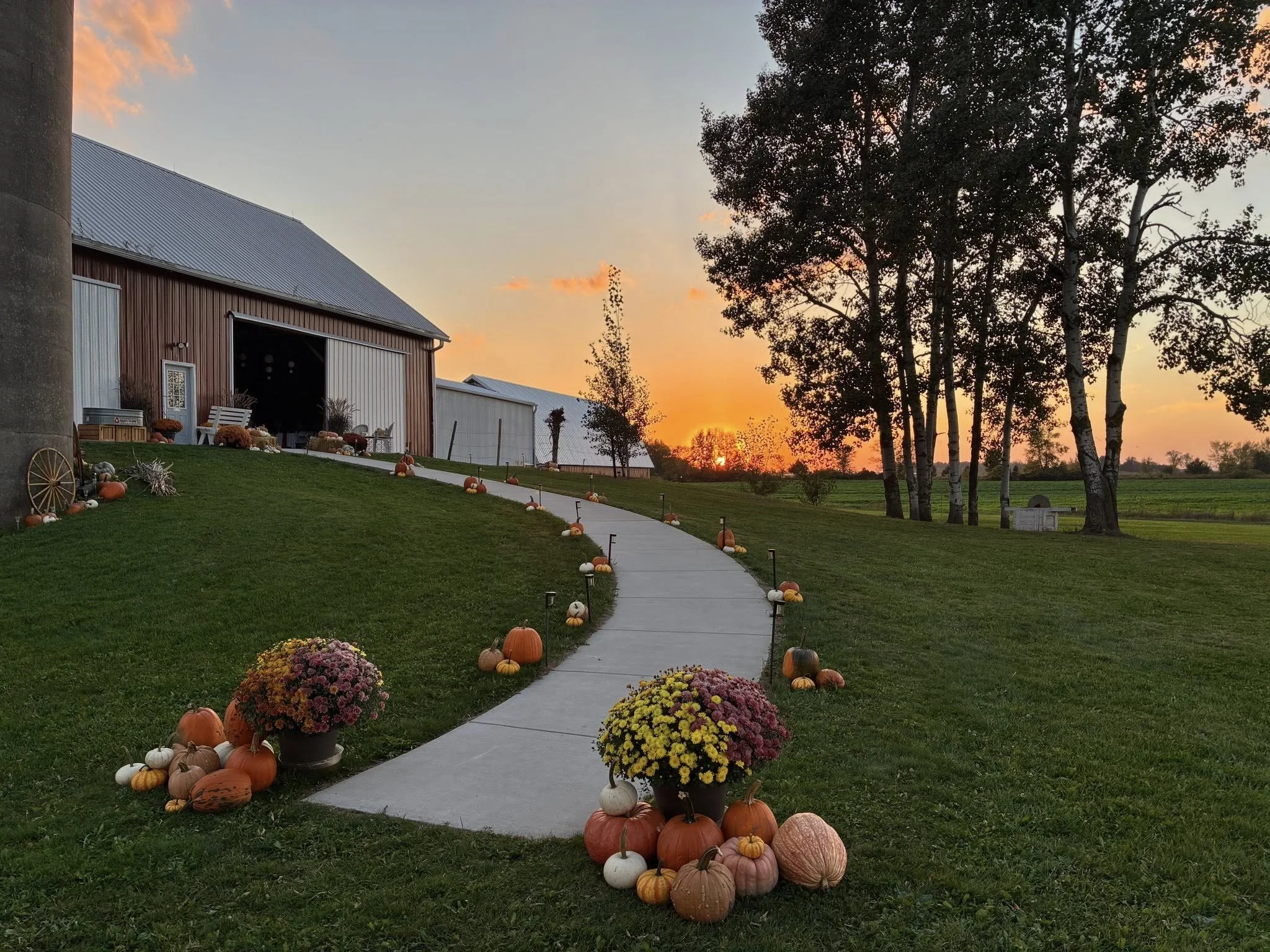 Sunset over a farm with a winding concrete path decorated with pumpkins and flowers leading to a barn.