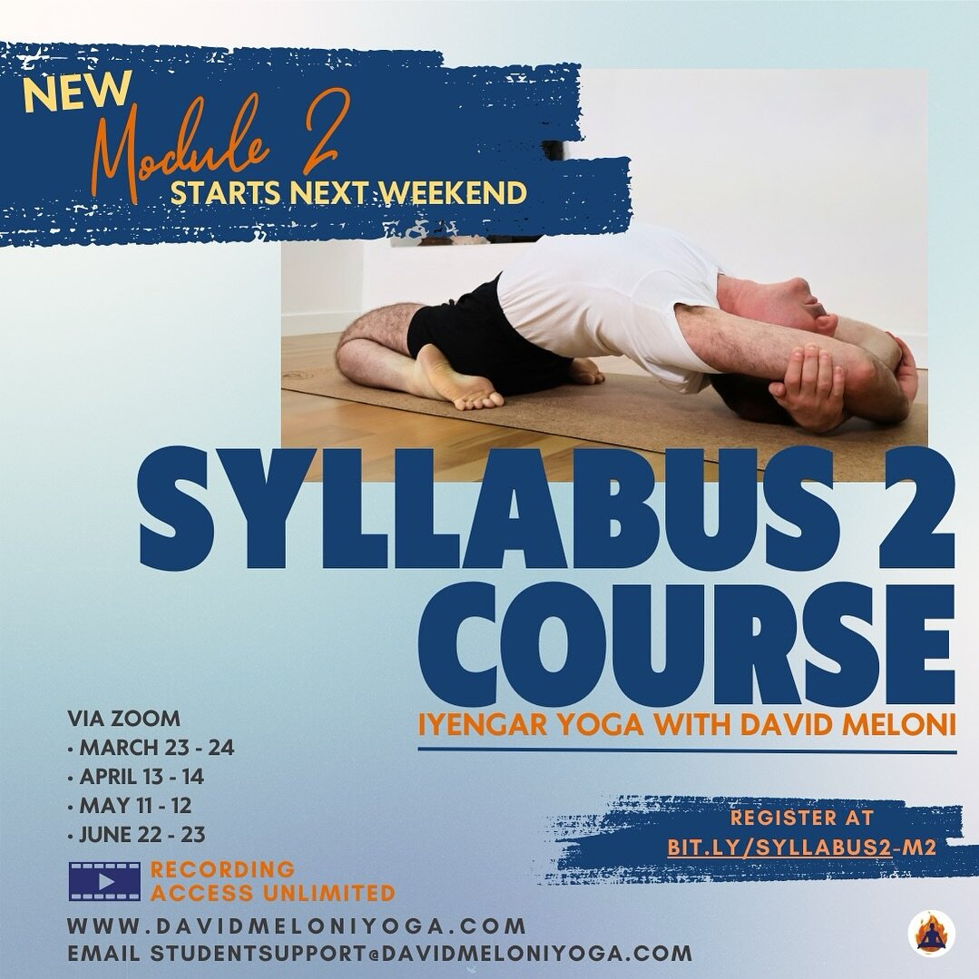 ✨ Syllabus 2 Course Via Zoom - As the poses progress in form and depth it is vital to have a more refined instrument to work with these more challenging poses.&nbsp; This requires a more intentional approach to working with this next group of Asanas.