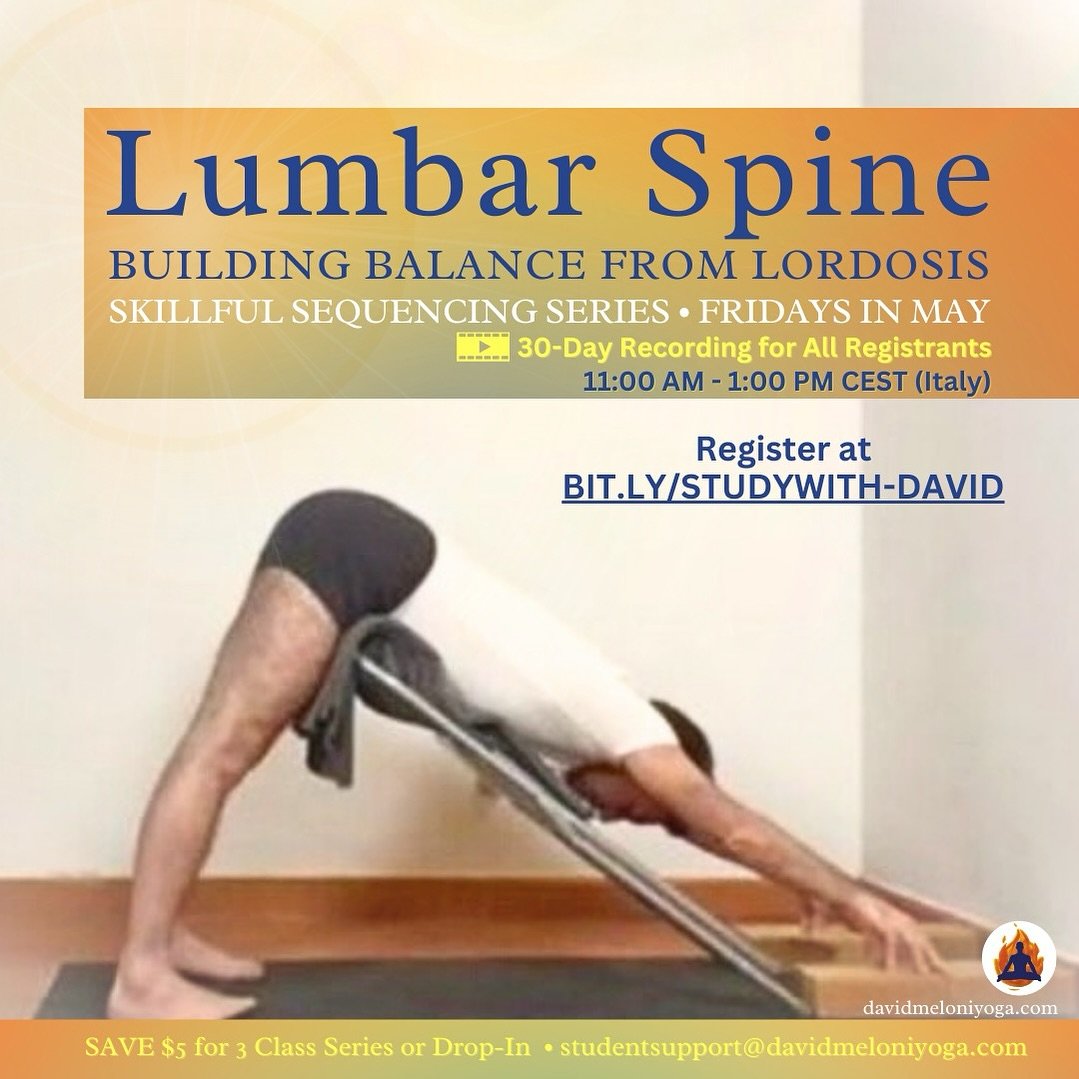 ✨ &ldquo;LUMBAR SPINE &bull; BUILDING BALANCE FROM LORDOSIS&rdquo; &bull; Monthly Skillful Sequencing Series 

✨30-Day Recording Access Included.

✨ The Monthly Skillful Sequencing Series is recommended for students that are interested in the David M