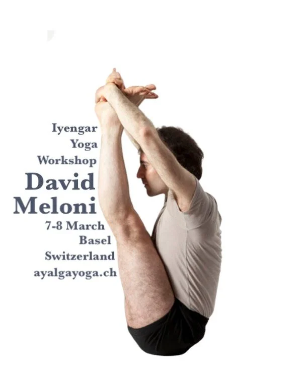 &ldquo;Pillar of Practice: Roots in Stability and Steadiness&rdquo;

BKS Iyengar embodied practice. 
At the heart of what he taught, Guruji encourage us to explore in our practice and through our practice to develop the awareness to realize Yoga. Whe