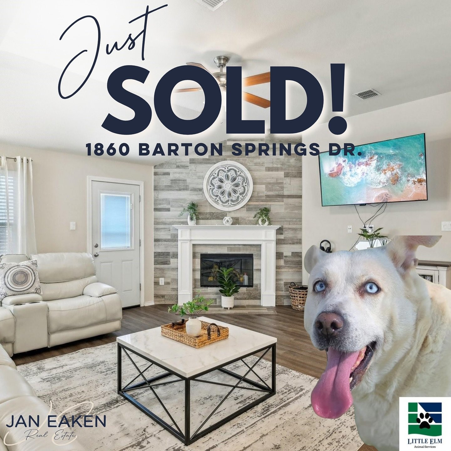 A huge thank you to Shelley and Tony for trusting me to help them sell their beautiful home. Wishing them all the best as they step into this exciting new chapter! 🏡✨

Meet Aspen! This blue eyed beauty&rsquo;s adoption fee is fully sponsored with th