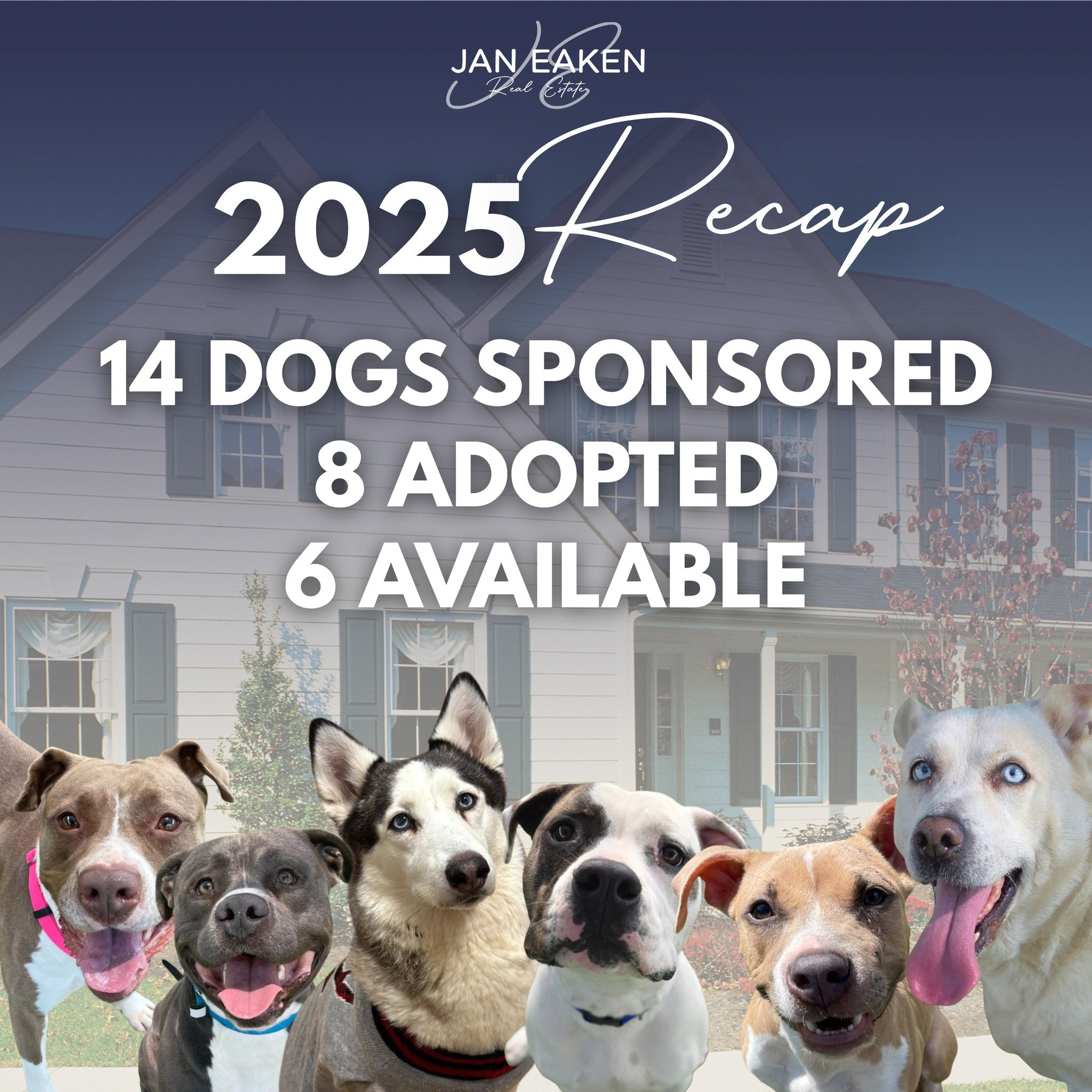 💛 A New Year. New Homes Needed. 💛

In 2025 I had the honor of sponsoring 14 incredible dogs through the sale of homes.
✨ 8 have already found their forever families
🐾 6 are still waiting for theirs

These sweet babies are loving, deserving, and re