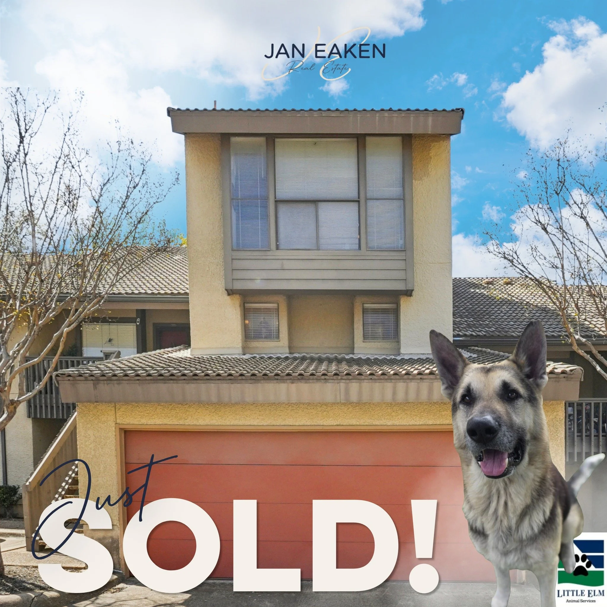Just Sold! 
We&rsquo;re sad to see Claude leave Texas and head back home to Canada, but wishing her all the best on her next chapter! 🇨🇦

A big thank you to Diane Paquet Mitchell for trusting me with your sweet friend and the opportunity to sell he