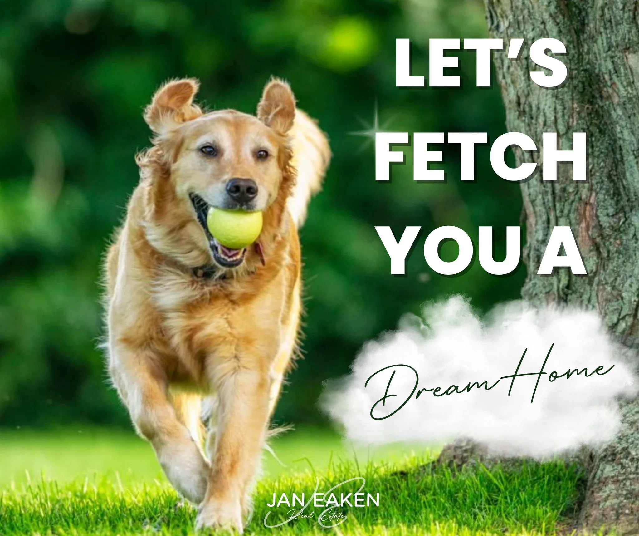 Ready to chase down the perfect place? I&rsquo;ll help you find it, whether it&rsquo;s your first home, your forever home, or your next move. Let&rsquo;s go get it!

Available listings- www.janeaken.com/featured-listings