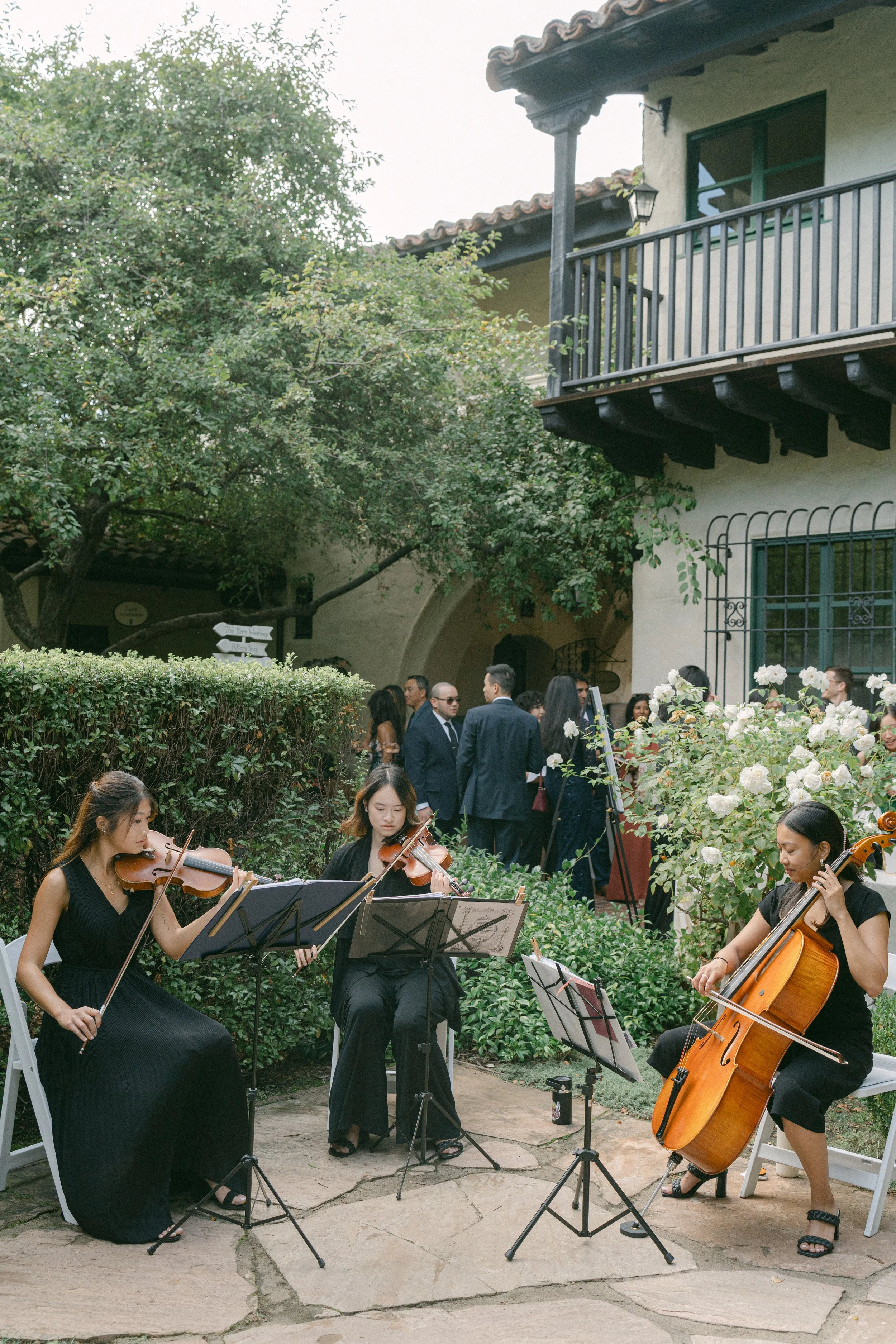 montalvo strings san franscisco wedding1.jpg
