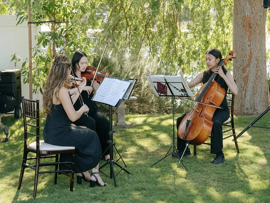 Northern California wedding musicians playing modern cover songs on acoustic string instruments.