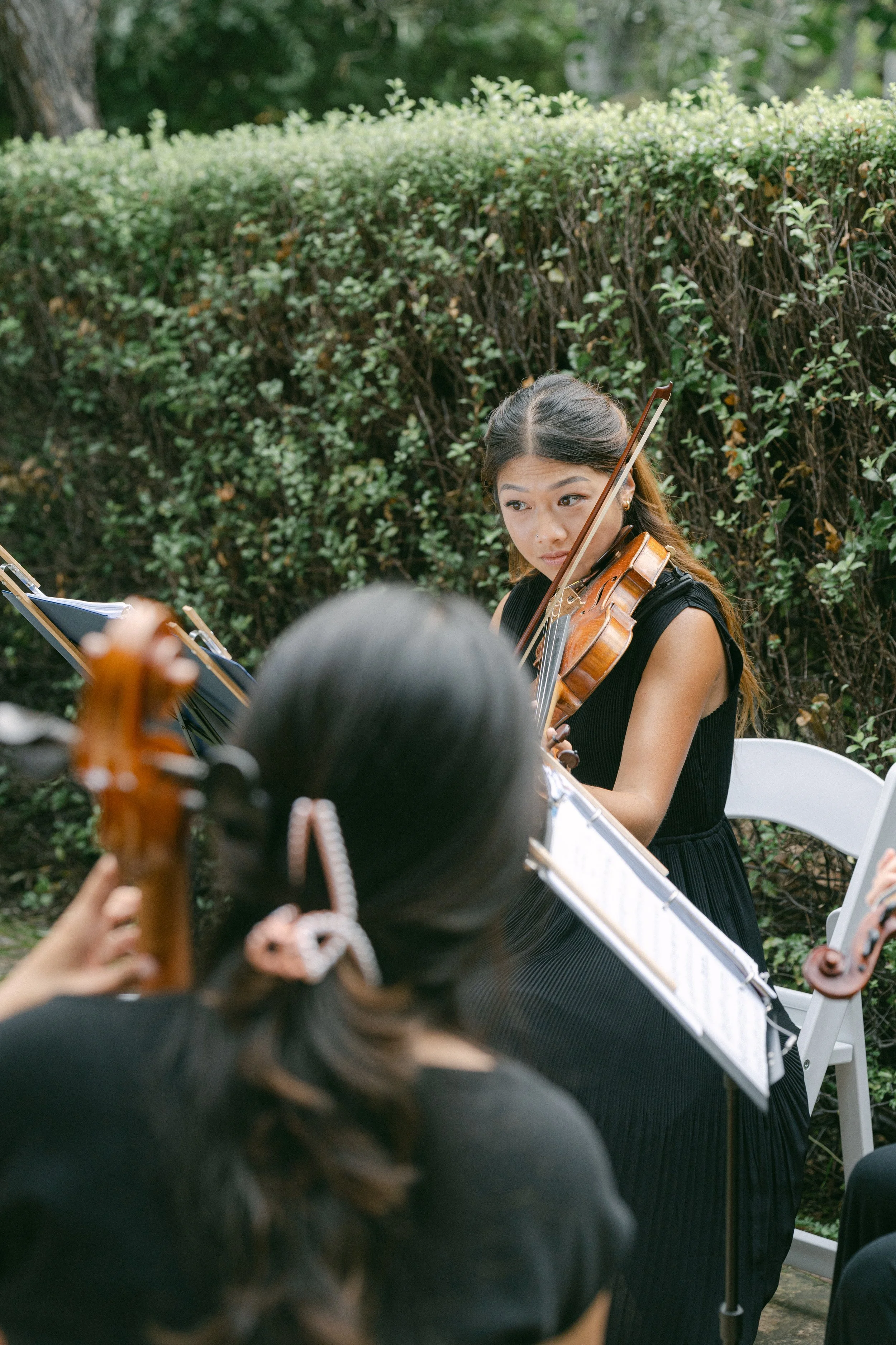 montalvo strings san franscisco wedding2.jpg