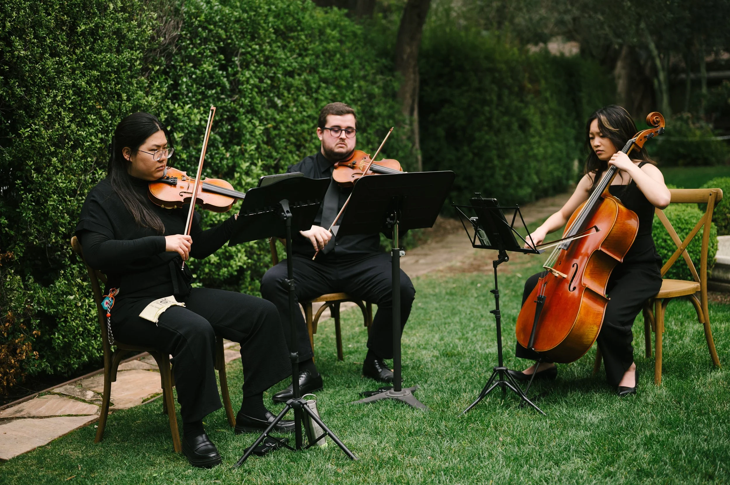 Montalvo Strings about 3.jpg