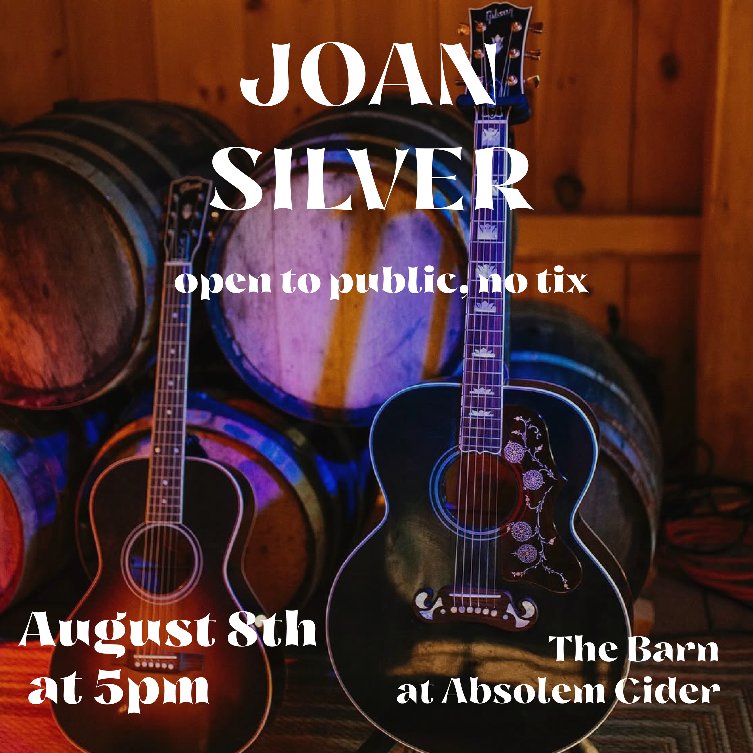 Barn Sessions: Joan Silver