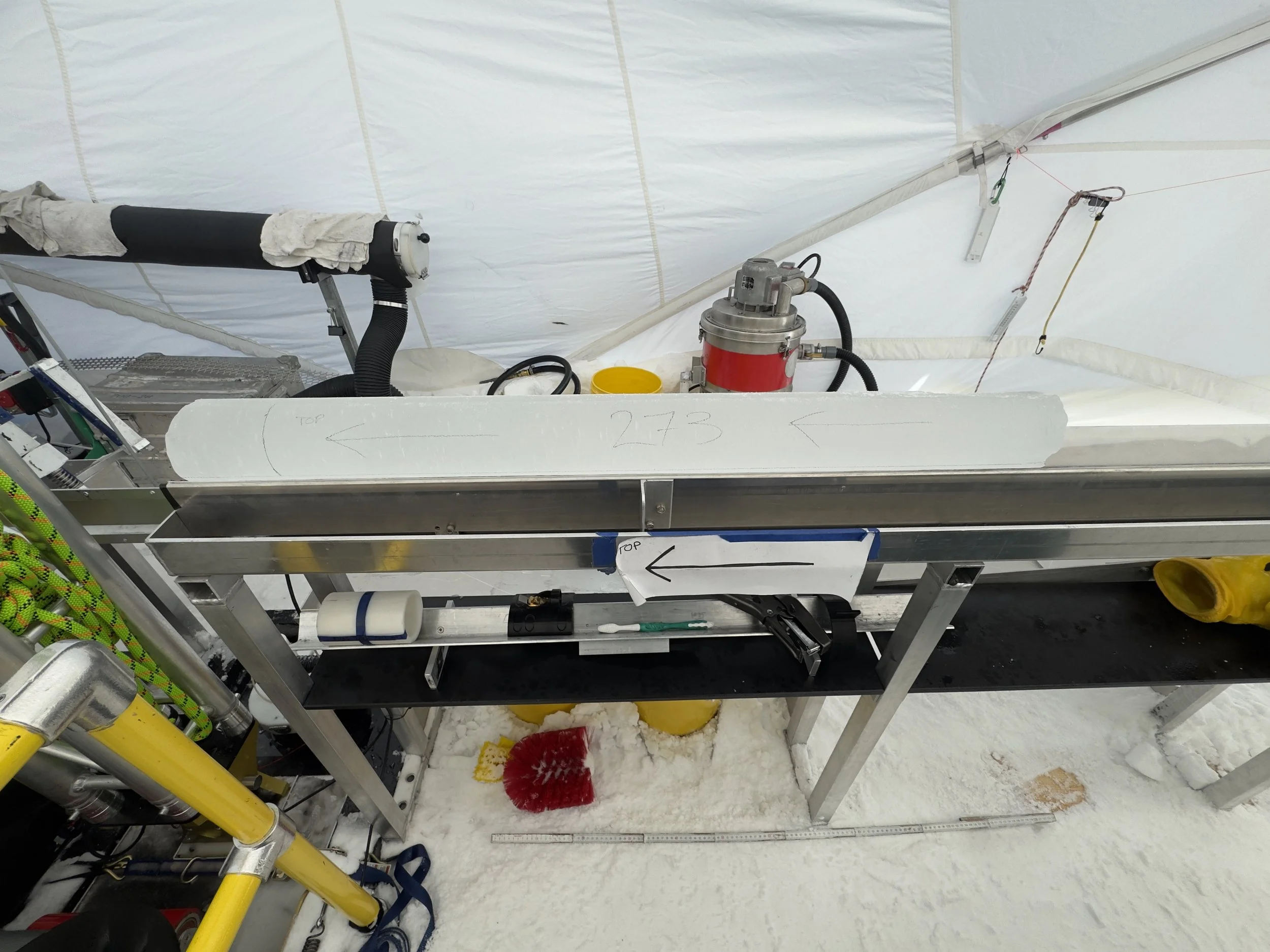   A freshly cleaned and labeled Shallow Wet Drill ice core.  