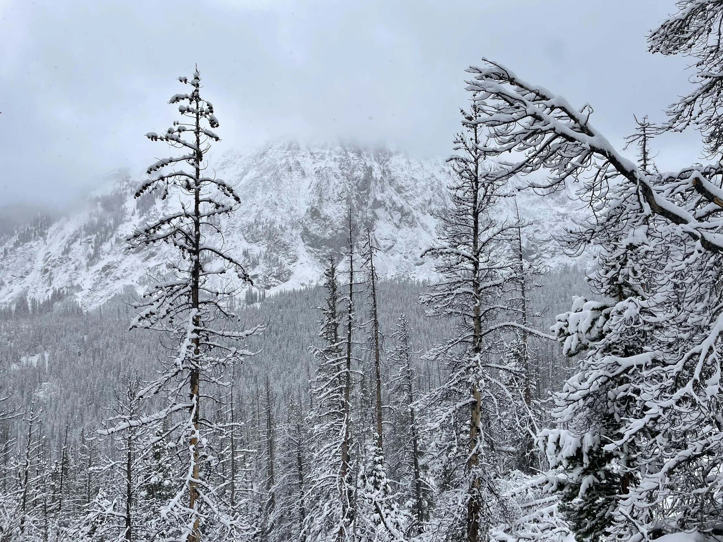 Can you believe I took this picture...