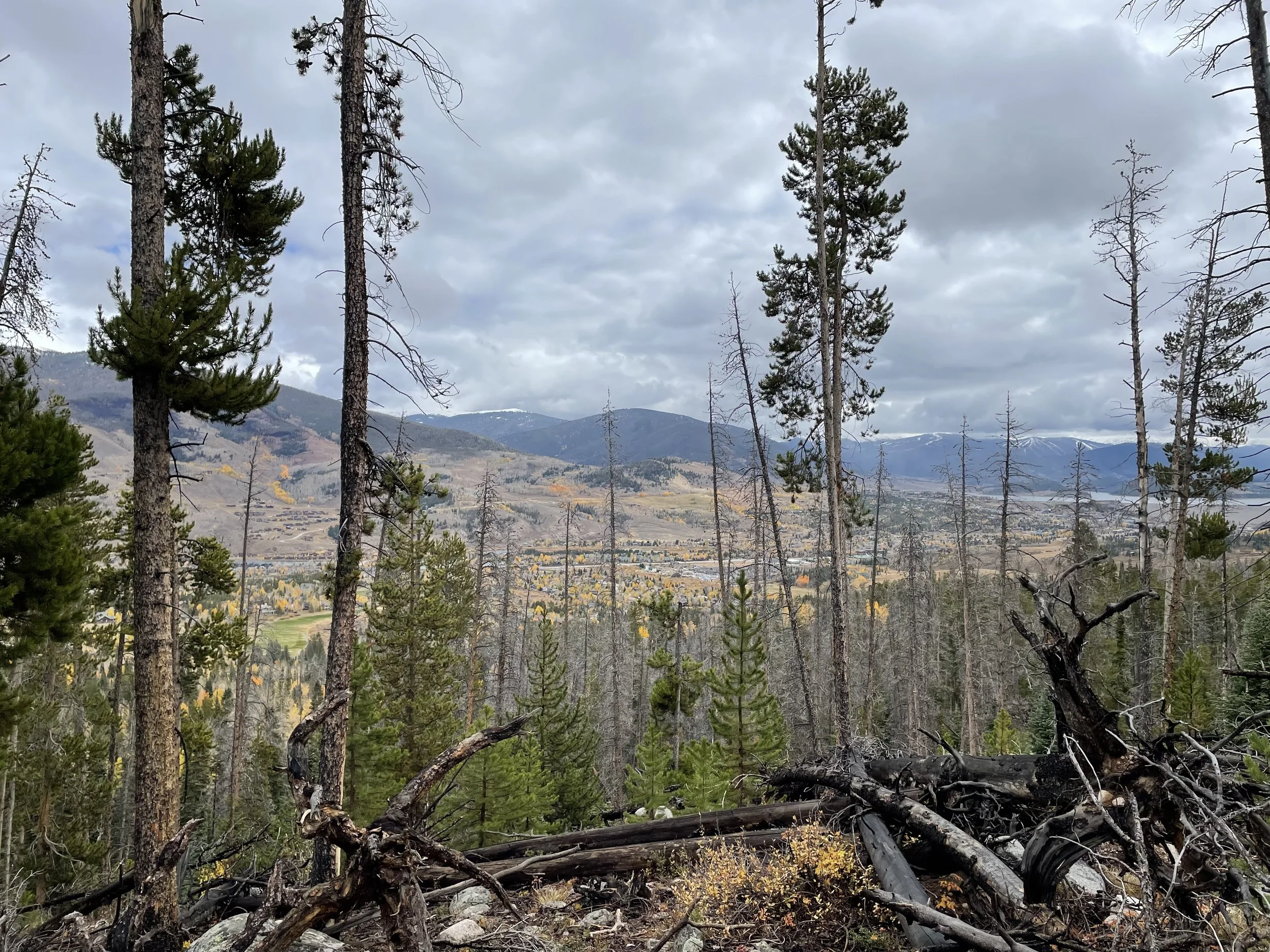 ...and not even 30 mins later I took this one!