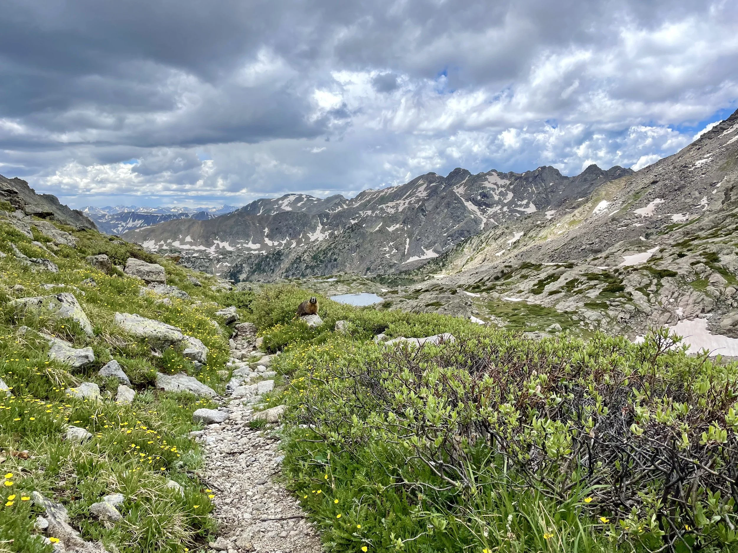 Can you spot the friend we made?