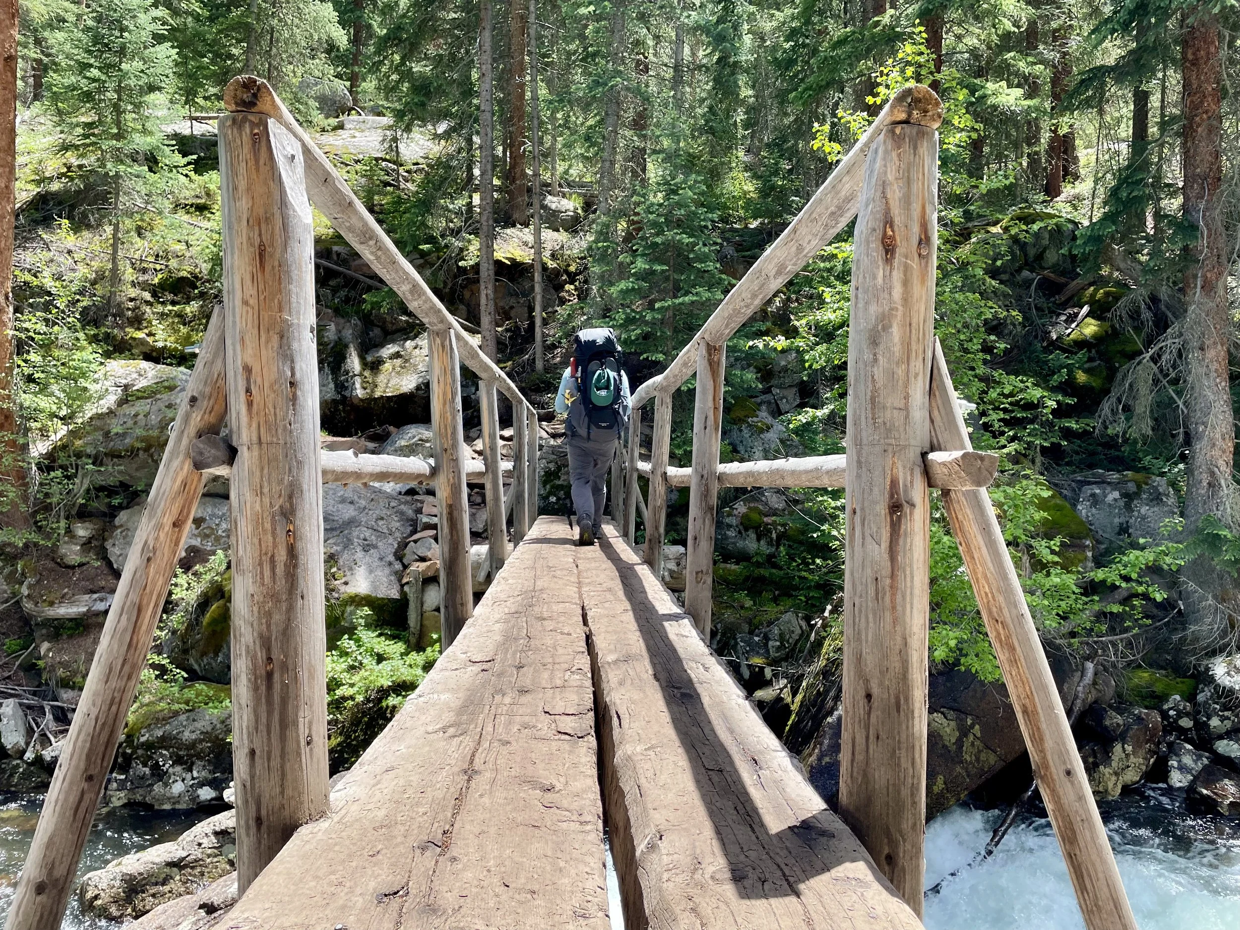 Another bridge - remember you can't use motorized tools in wilderness to build these