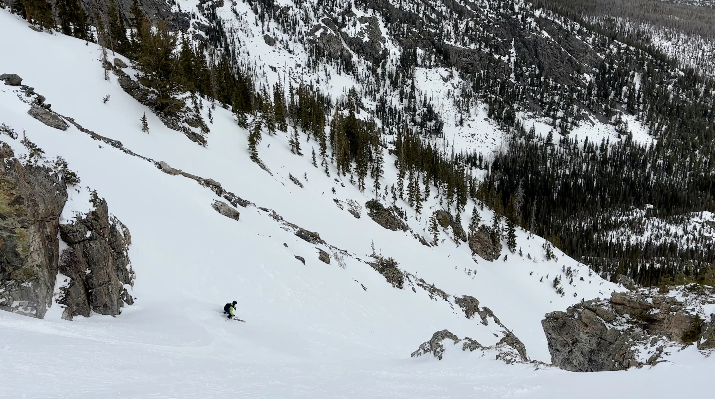 Screenshot 2025-04-19 at 9.58.26 AM.jpeg