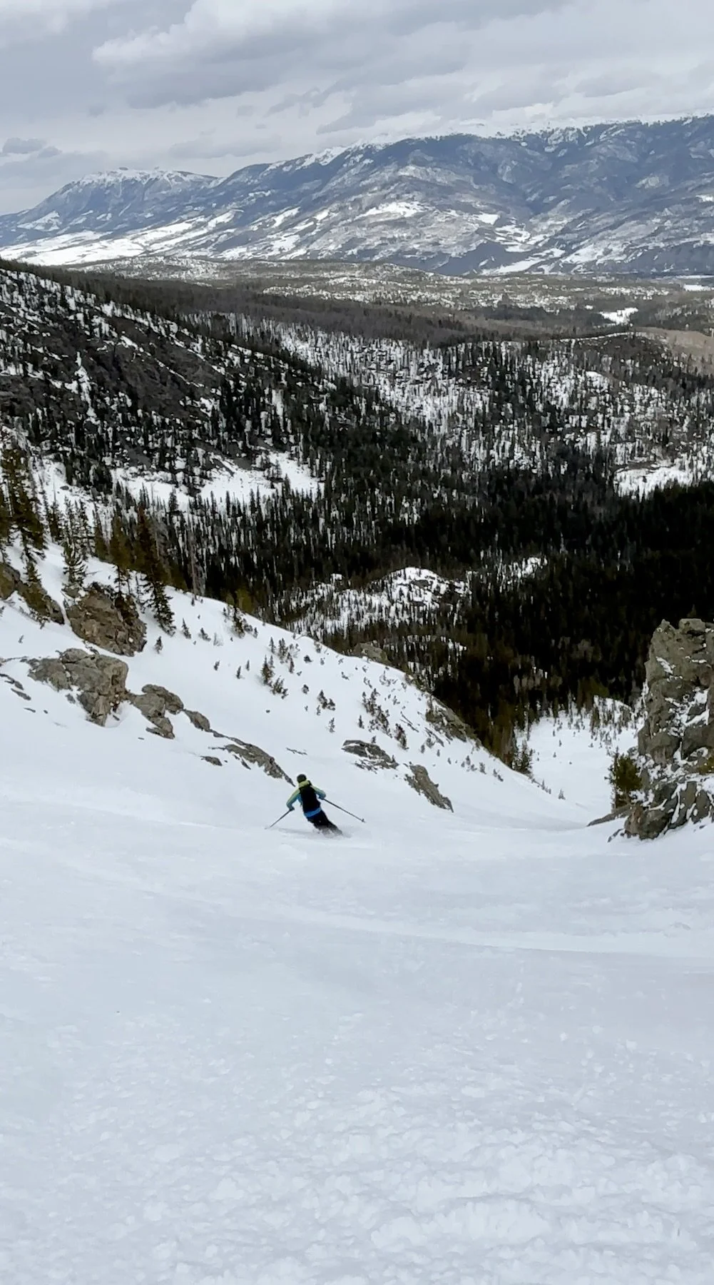 Screenshot 2025-04-19 at 9.59.40 AM.jpeg