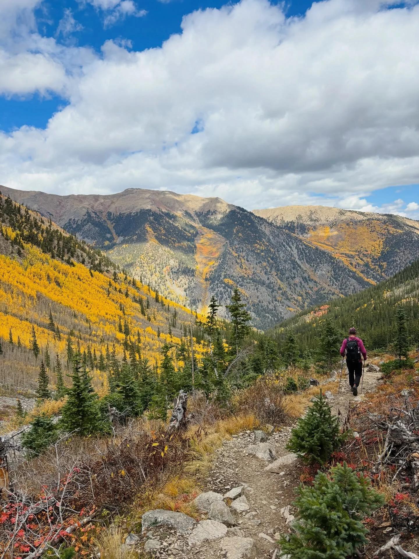 Wrapping up a beautiful fall 🍂 at home in Colorado