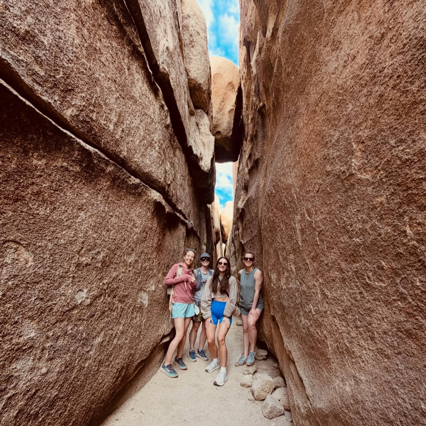 Northeastern does Palm Springs 🐺🌴 @laurhealeyy @frinny13 @jesseldridge_526 #northeasternuniversity