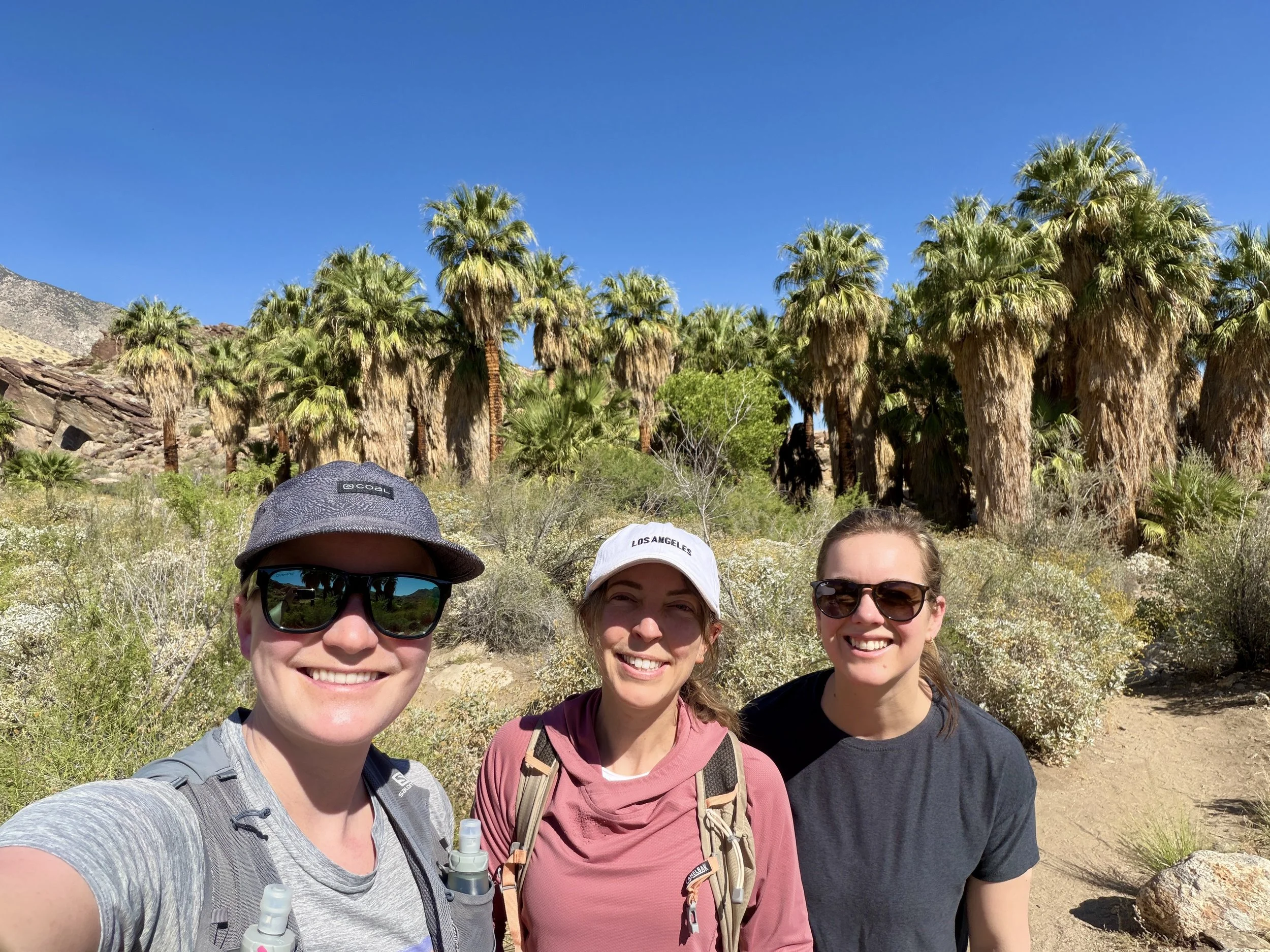 Murray Canyon to Seven Falls Hike, Santa Rosa San Jacinto National Monument, Palm Springs, California