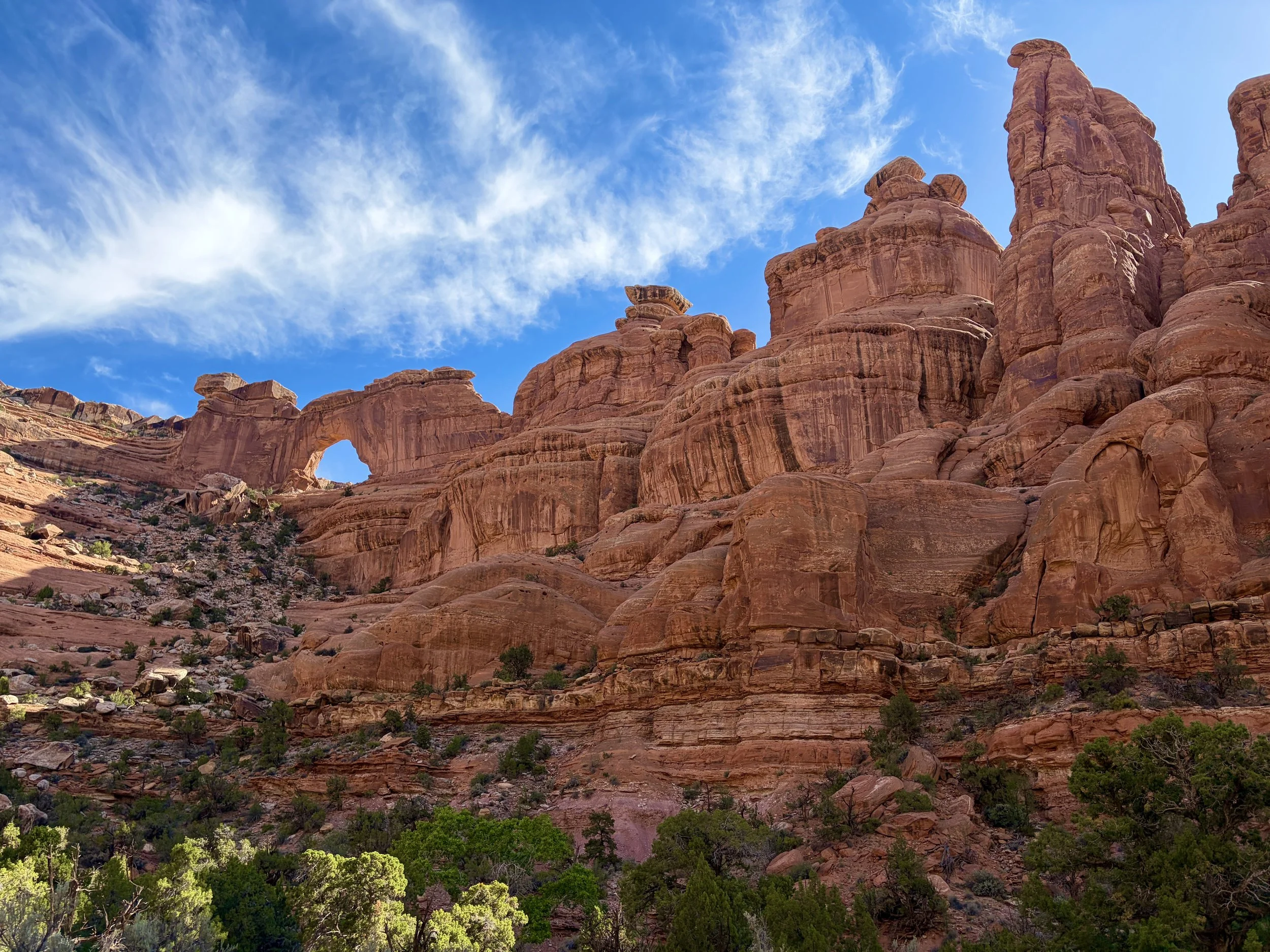 Fish and Owl Canyons Backpacking Trip, Bears Ears National Monument, Cedar Mesa, Utah