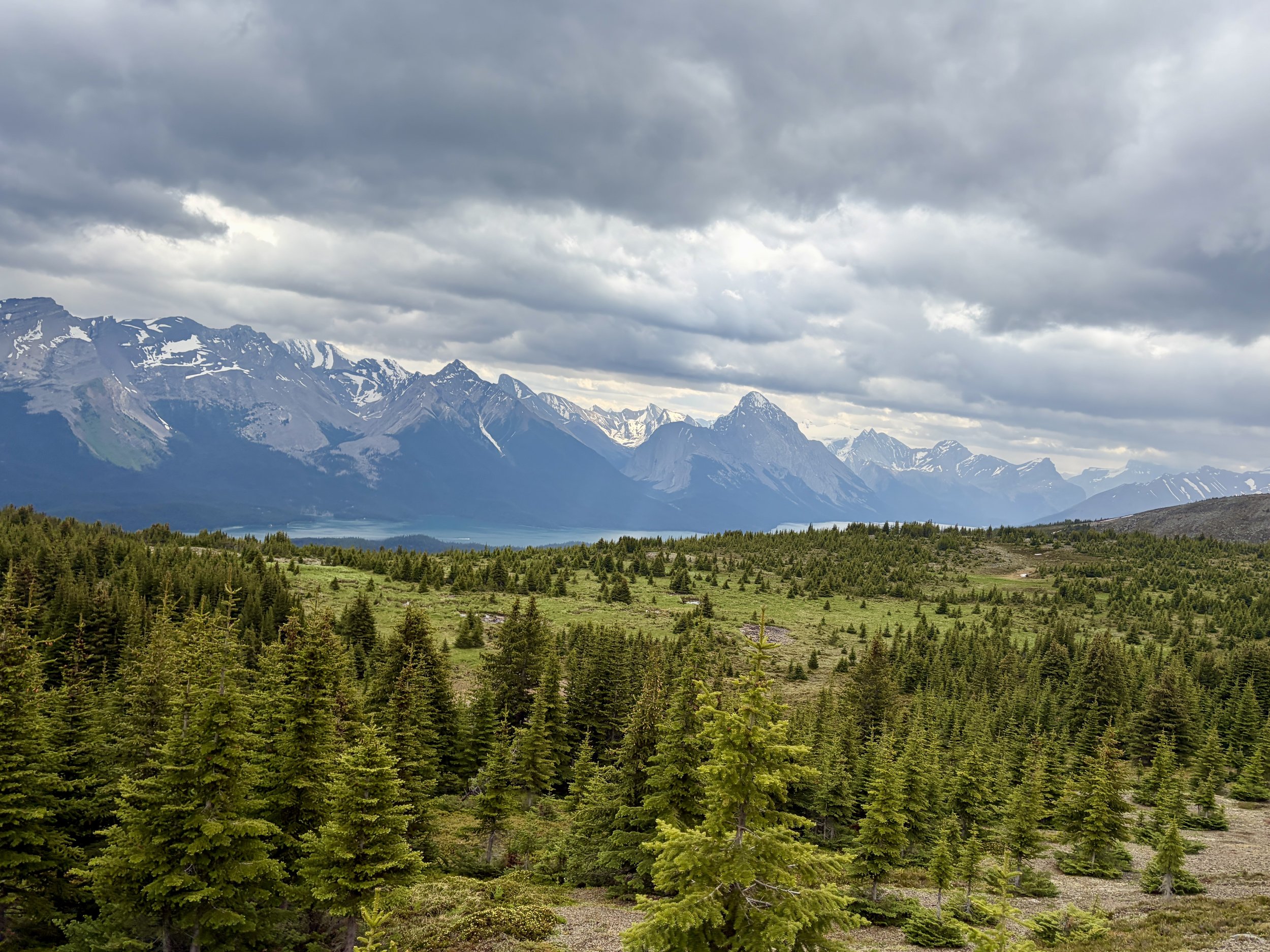 Bald Hills Hike, Jasper National Park, Alberta, Canada