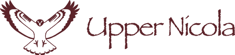 unb.png