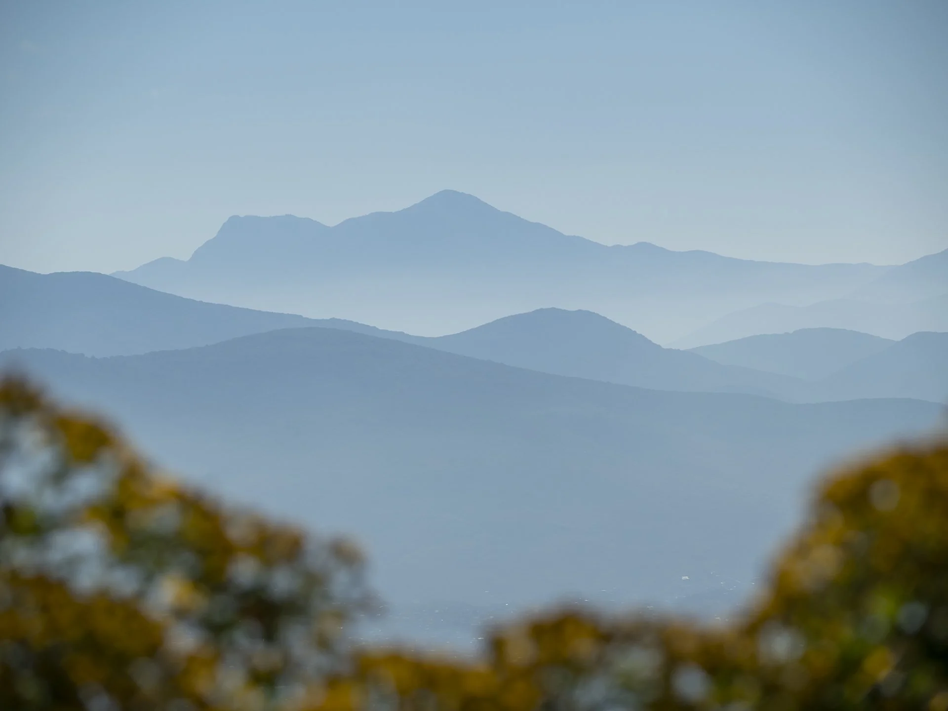 Monte Alban Oaxaca.JPG