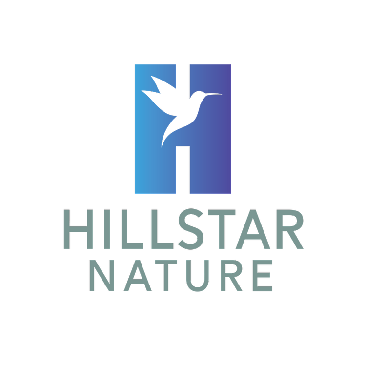 Colorado Hillstar Nature colorado-hillstar-nature