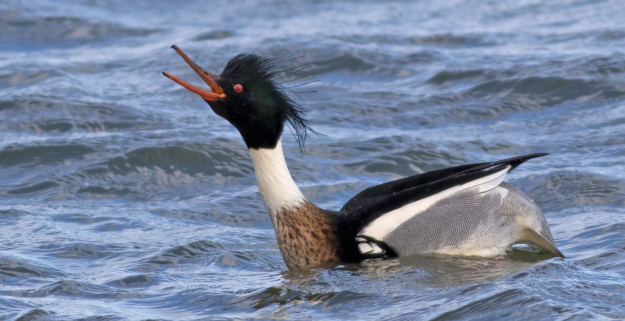 Screen Shot 2022-03-13 at 2.41.21 PM.png