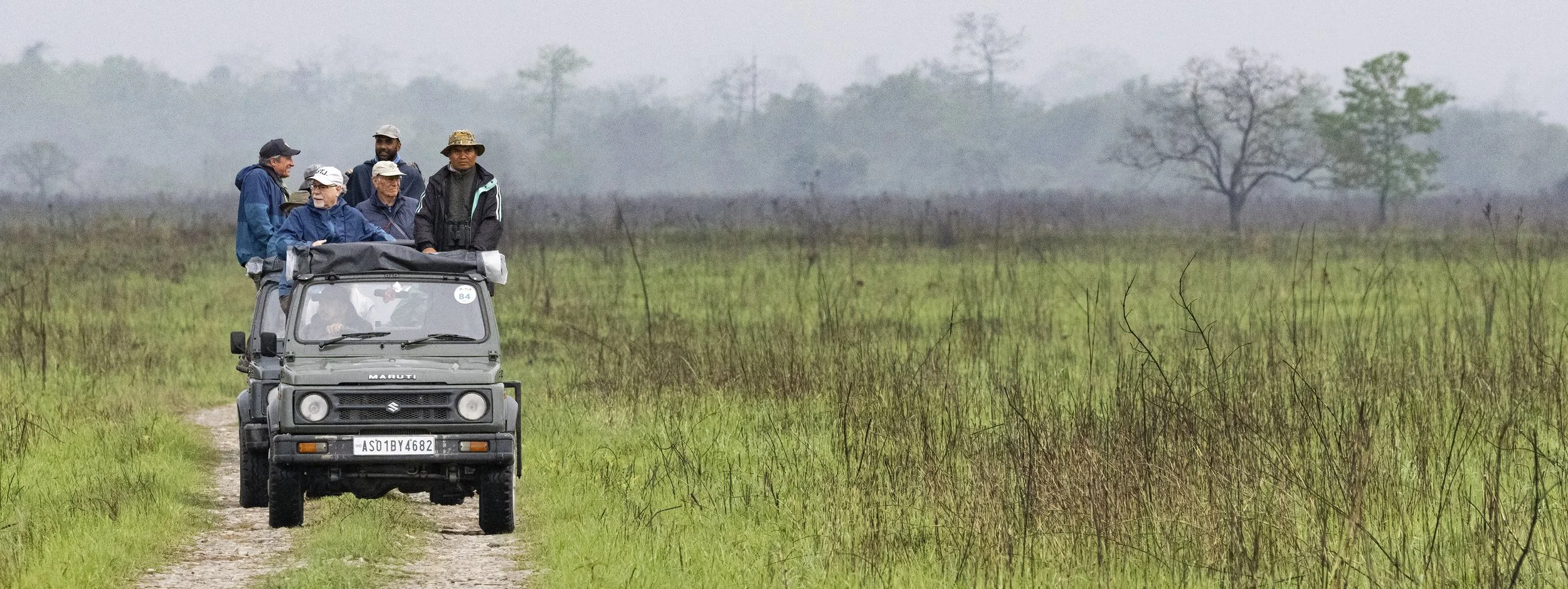 INDIA: Safari Assam — A Tea Country Safari for Rhinos, Hargila, &amp; other Rare Species