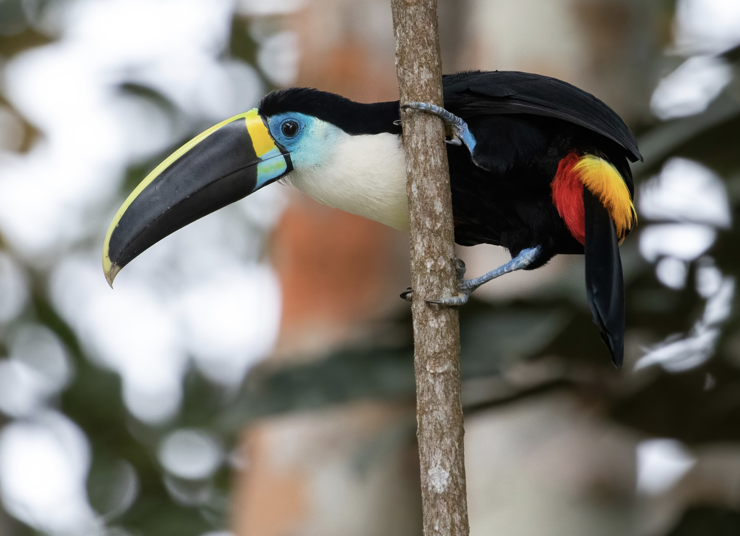 Screenshot 2024-01-23 at 12.27.49 PM.png