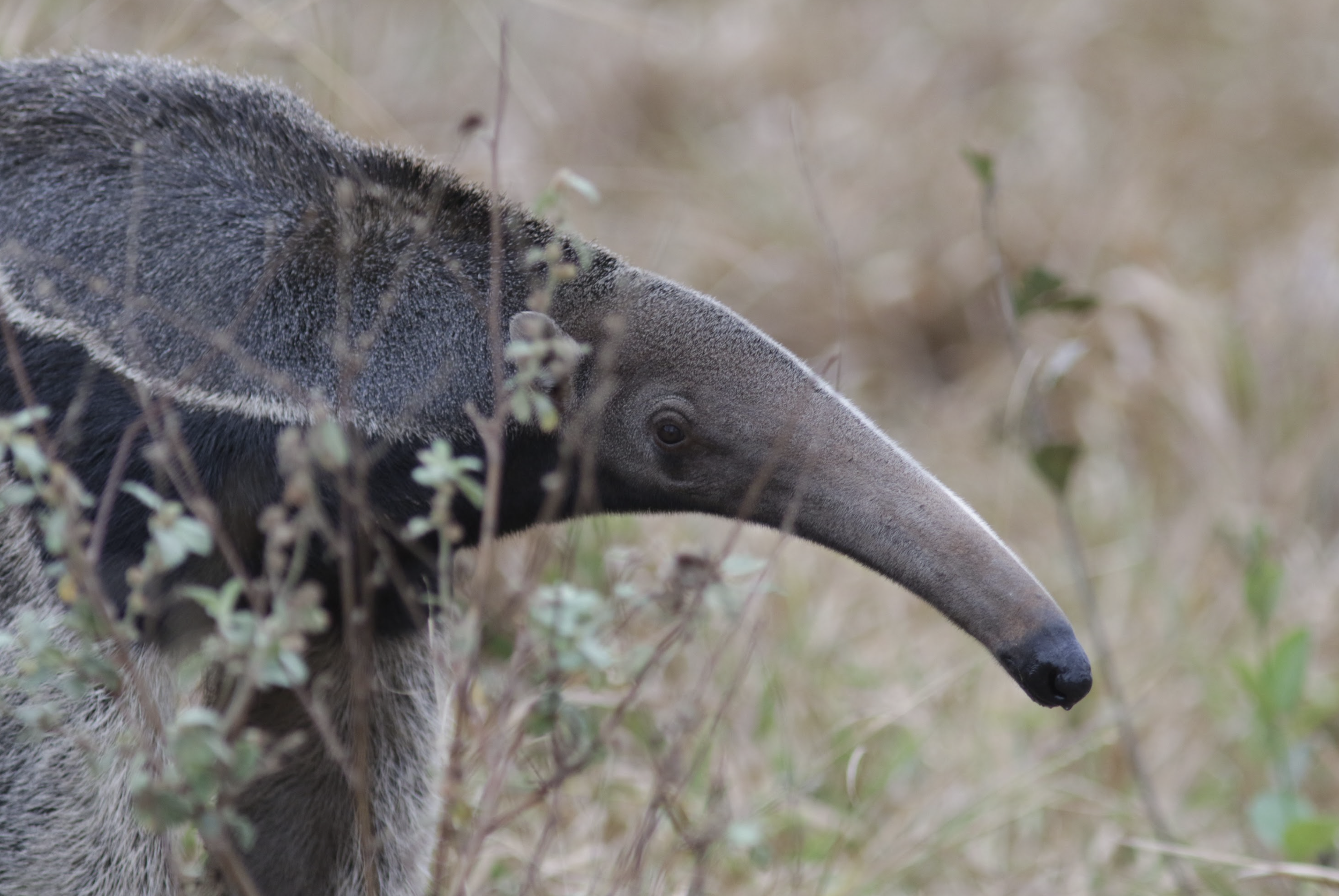 Screenshot 2023-04-17 at 9.57.11 AM.png