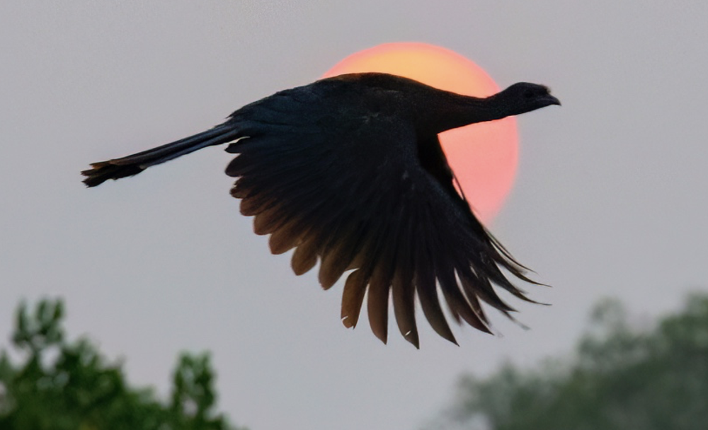 Screenshot 2025-03-03 at 10.35.07 AM.png