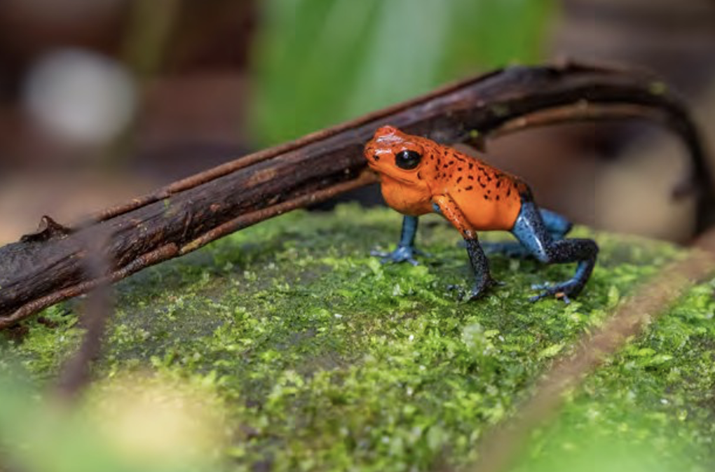 Screenshot 2024-03-07 at 2.09.03 PM.png