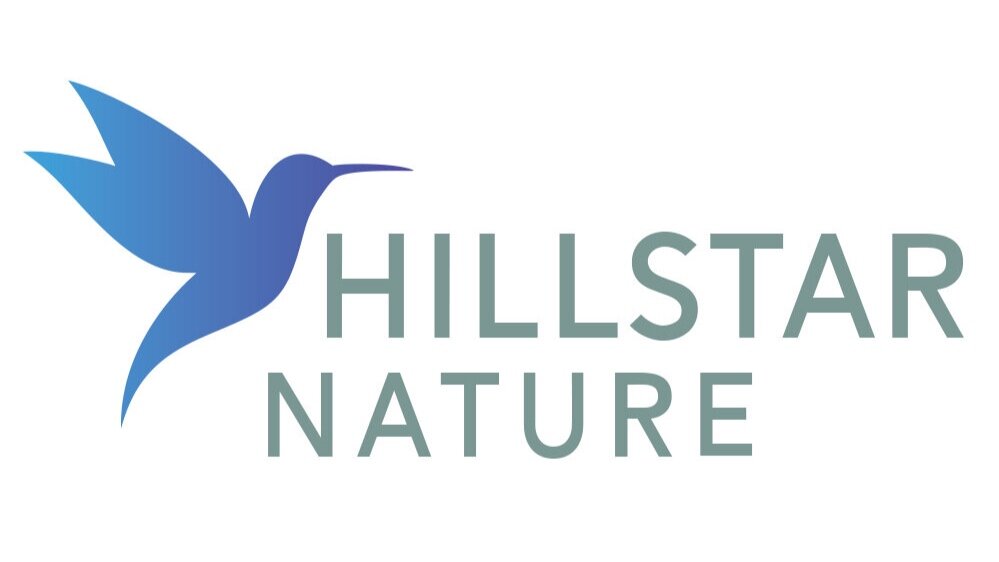 Hillstar Nature